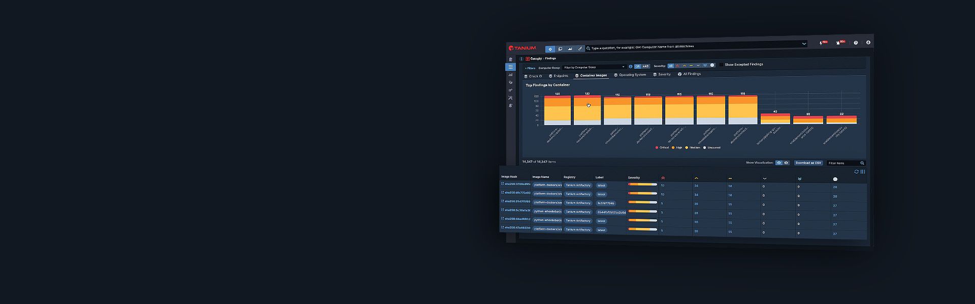 Tanium Cloud Workloads ヒーローダッシュボードのモックアップとコンテナ脆弱性データ