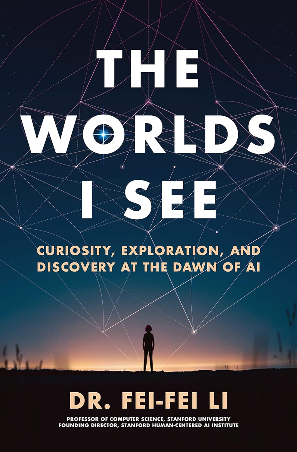 『The Worlds I See』の表紙には、夜明けの平原の遥か彼方に立つ女性のシルエットが描かれています。