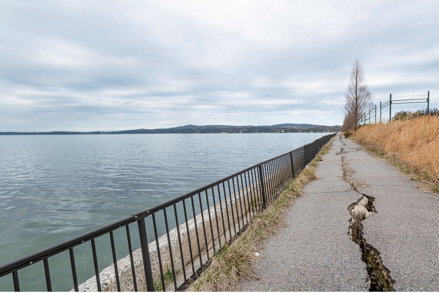 Waterfront landscape with railing, bare tree, and distant shoreline