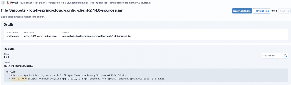 Screenshot of file snippet results showing Spring Cloud Config jar file details