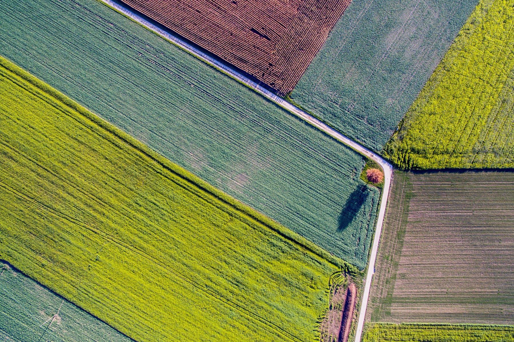 What is patch management? Your automation starter guide