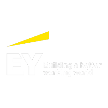 EY 引用画像