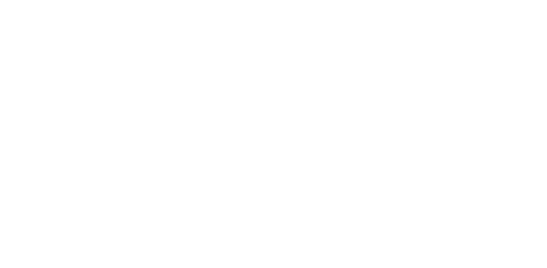 Advaniiaホワイトロゴ
