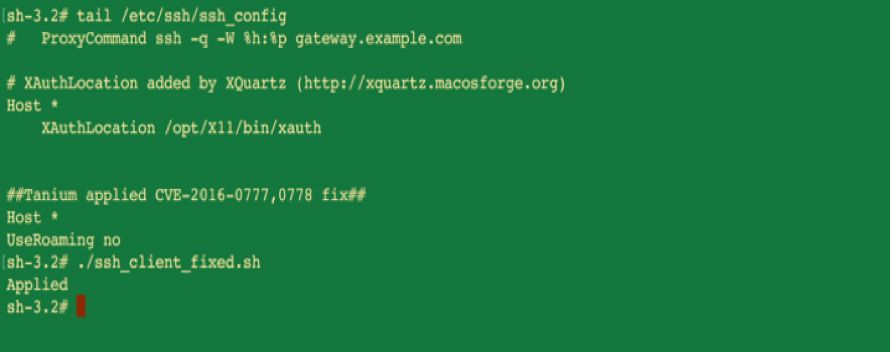 OpenSSHの脆弱性修正が成功し、その確認が行われたことを示すターミナルの出力